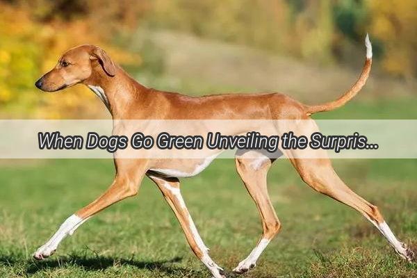 When Dogs Go Green Unveiling the Surprising Effects of Their Grassy Adventures